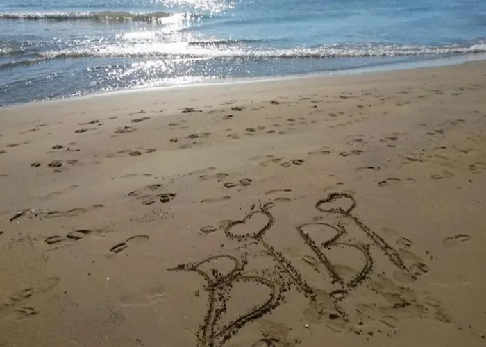 Lejlighed Need For A Perfect