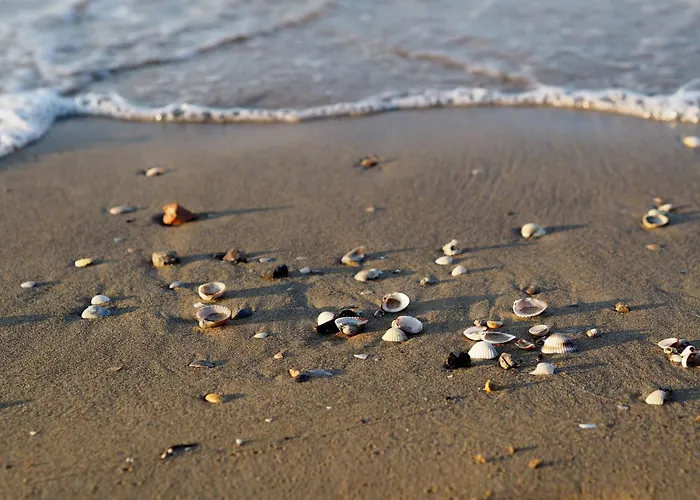 Need For A Perfect Apartamento *